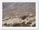 15April05 - EverestTrek 317 * 2272 x 1704 * (903KB)